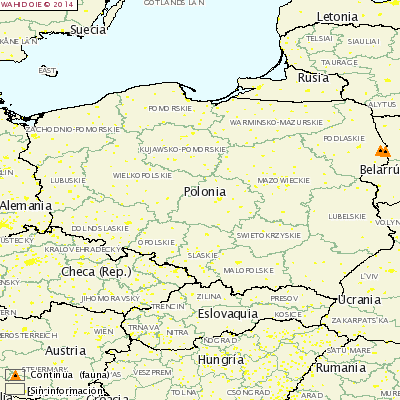 10th and 11th ASF outbreaks in Poland