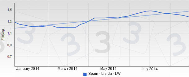 Evolution of the prices