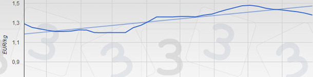 Evolution of the prices