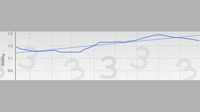 Evolution of the prices
