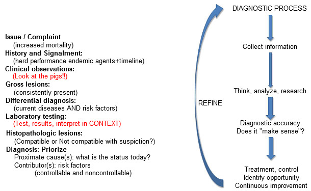 Diagnostic &quot;alignment&quot;: All information should make sense