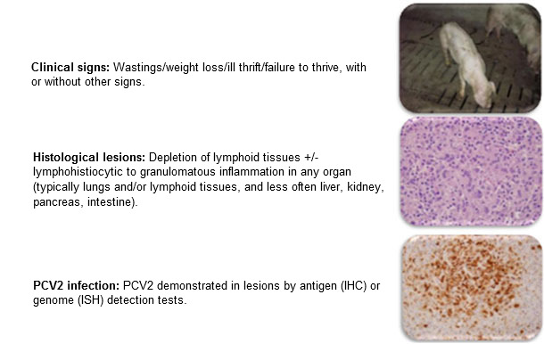 PMWS: Case definition