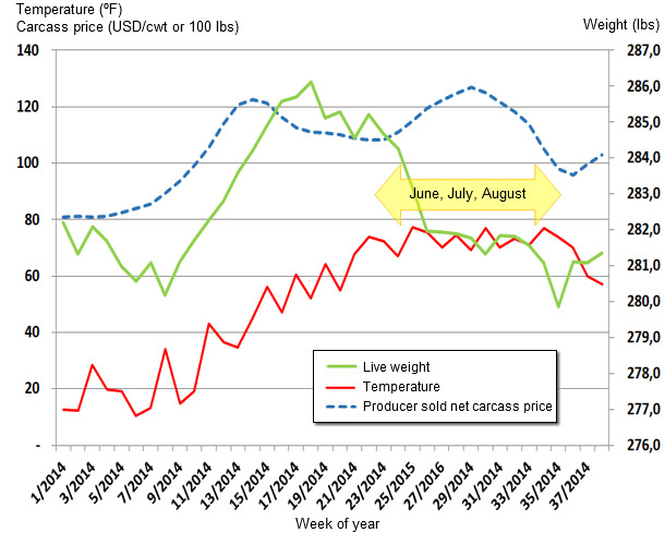 Update on US Weekly Average Live Weight, Carcass Price  and Temperature Changes