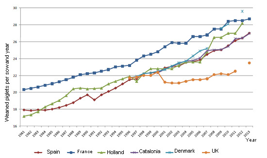 productividad numérica