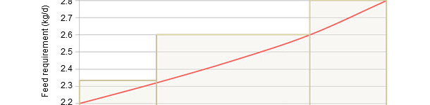 Priorities for feeding the sow in gestation