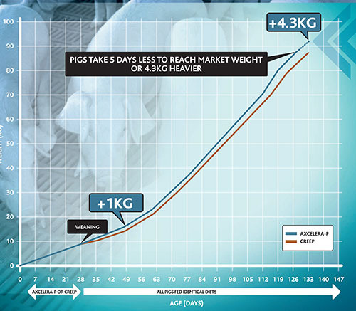 Axcelera-P Growth Graph