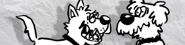 A real taste of pork butt