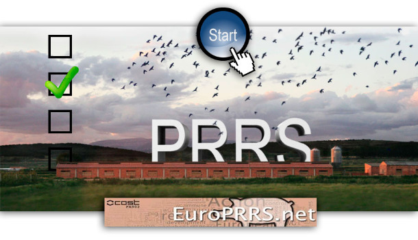 PRRS survey