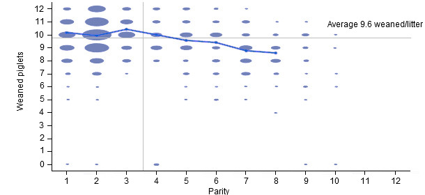 Number of weaned piglets per litter in the 6 months previous to our intervention