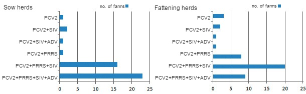 Co-seropositivity in pigs