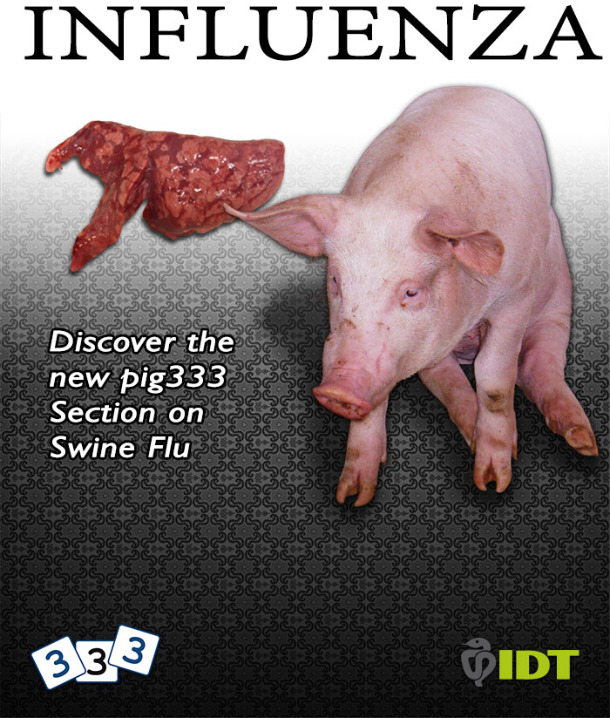 Swine Flu