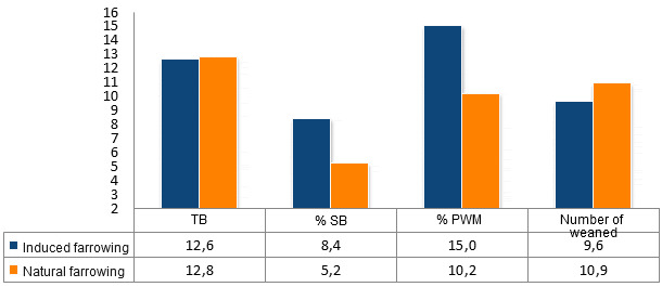 Induced farrowing (at 114 days) outcomes versus natural farrowing