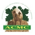 acmc_pig.jpg