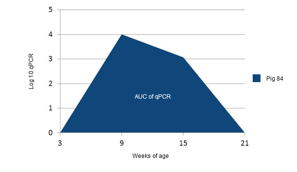 Example of calculation of the AUC of PCV2 qPCR for each individual