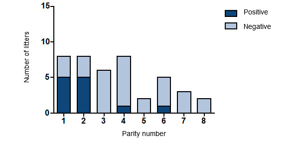 Number of litters positive for SIV by RT-PCR according to parity of the sow