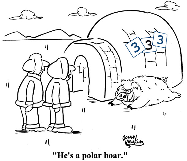 The polar boar