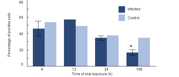 Phagocytosis rate of H. parasuis by porcine alveolar macrophages collected from pigs previously infected with PRRSV