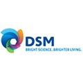 DSM.gif