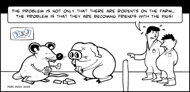 Rodents