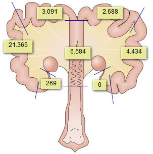 Inseminations with non-encapsulated doses