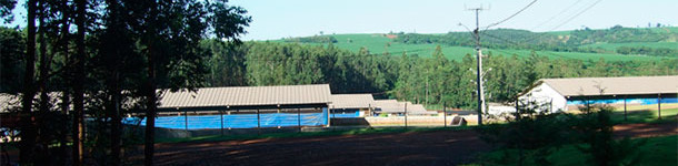 Pig farm