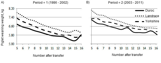 Effect of number after transfer or parity on piglet weaning weight in purebred litters by breed of sow