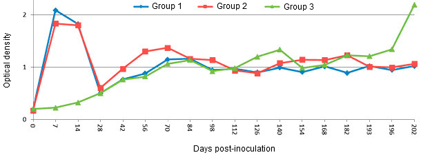 IgM response in young pigs after experimental PRRSV infection