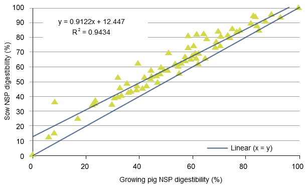 Relationship between calculated digestibility of non-starch polysaccharides (NSP) for sows and growing pigs