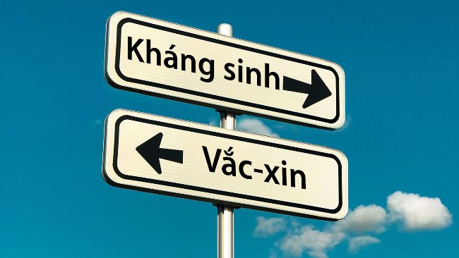 Việc tăng cường sản xuất thực phẩm từ động vật v&agrave; sự xuất hiện của c&aacute;c hệ thống sản xuất mới (chẳng hạn như hệ thống chăn nu&ocirc;i kh&ocirc;ng d&ugrave;ng kh&aacute;ng sinh hoặc hệ thống hữu cơ) đ&atilde; dẫn đến sự xuất hiện&nbsp;hoặc t&aacute;i xuất hiện&nbsp;một số mầm bệnh. Những xu hướng x&atilde; hội mới n&agrave;y, c&ugrave;ng với mong muốn giảm sử dụng kh&aacute;ng sinh vật trong chăn nu&ocirc;i, n&ecirc;u bật tầm quan trọng của việc cải tiến c&aacute;c loại vắc-xin hiện c&oacute; v&agrave;/hoặc ph&aacute;t triển c&aacute;c chiến lược ti&ecirc;m ph&ograve;ng mới để chống lại mầm bệnh mới xuất hiện&nbsp;hoặc t&aacute;i xuất hiện.
