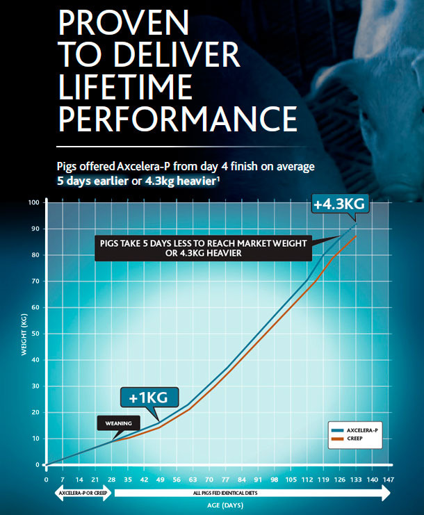 Lifetime performance