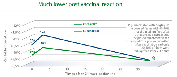 Much lower post vaccinal reaction