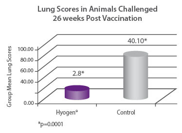 Lung Scores in Animals Challenged 26 weeks Post Vaccination