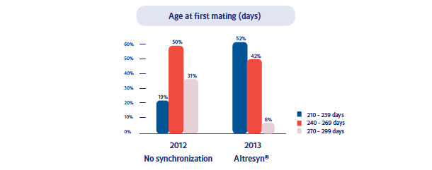 Reduction of the average mating age in the gilts per year by 18 days