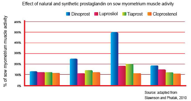 Effect of nalural and synthetic prostaglandin on sow myometrium muscle adivity