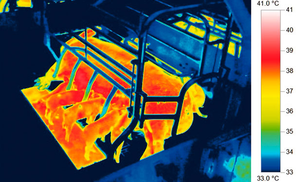 Thermal image of nursery