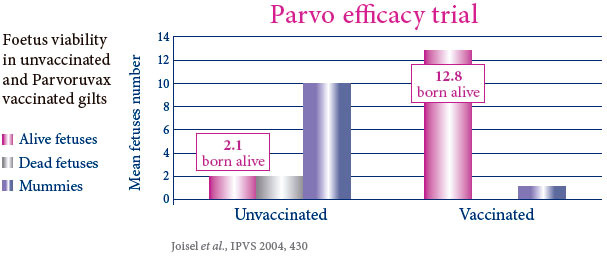 Parvo efficacy trial