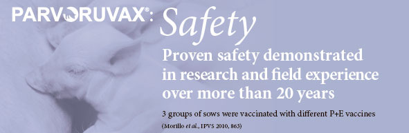 Parvoruvax: Safety. Proven safety demonstrated in research and field experience over more than 20 years