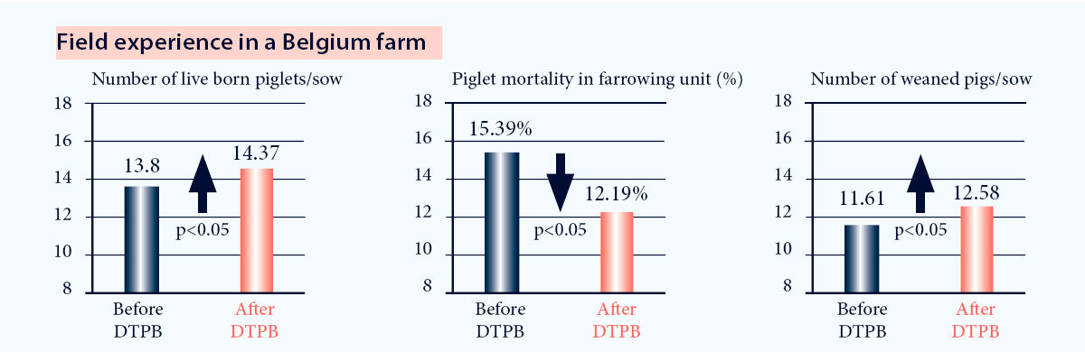 Improvement of reproductive results after implementation of DTPB program