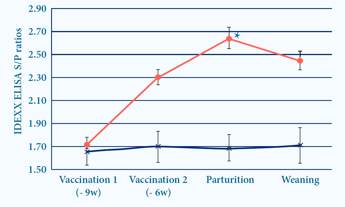 Progressis induces IDEXX and SN antibodies after vaccination