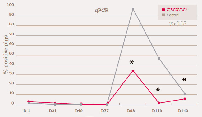 decreasing PCV2 fecal shedding