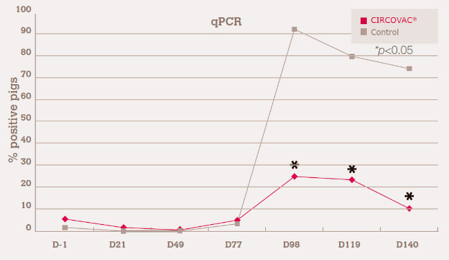 decreasing PCV2 viraemia