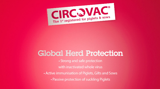 Global Herd Protection
