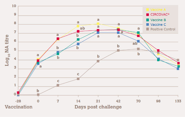 HIGHER PCV2-SPECIFIC NEUTRALIZING ANTIBODY TITRES VS. SUBUNIT VACCINES