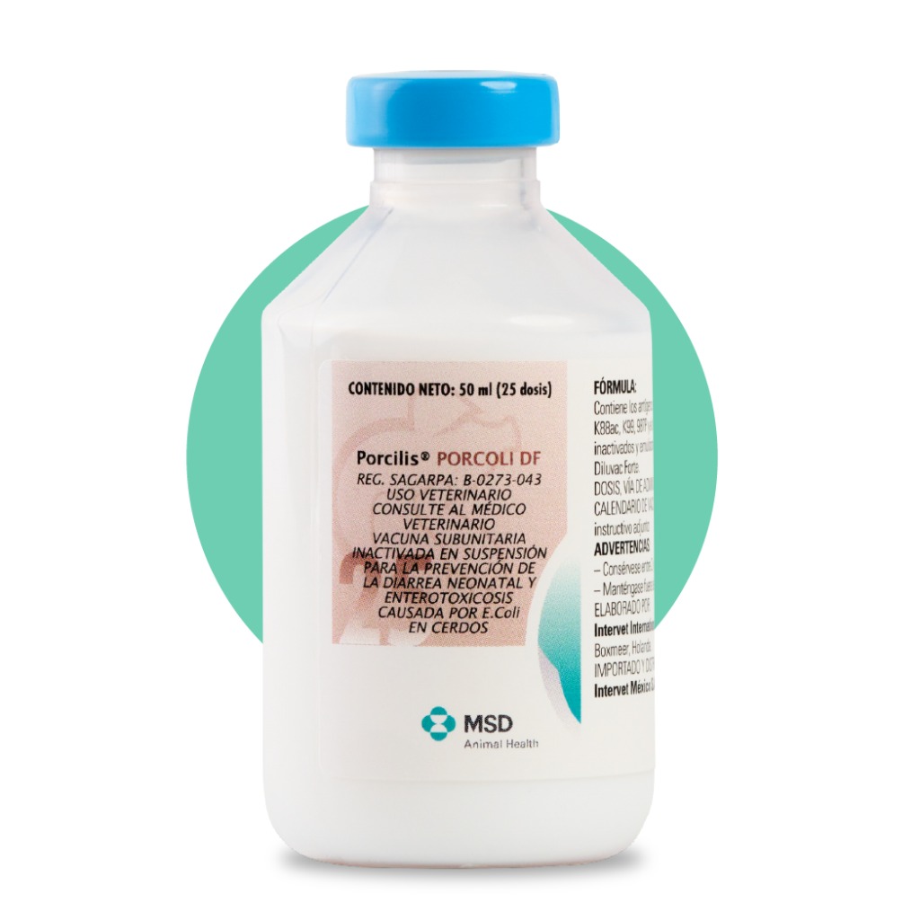 Vacuna: Porcilis® Porcoli DF
