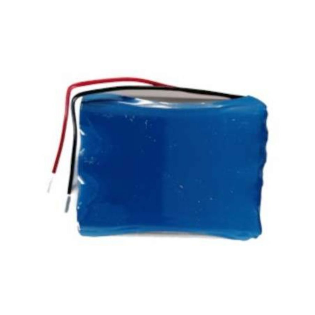 Batterie de remplacement pour échographe Echoscan T-300