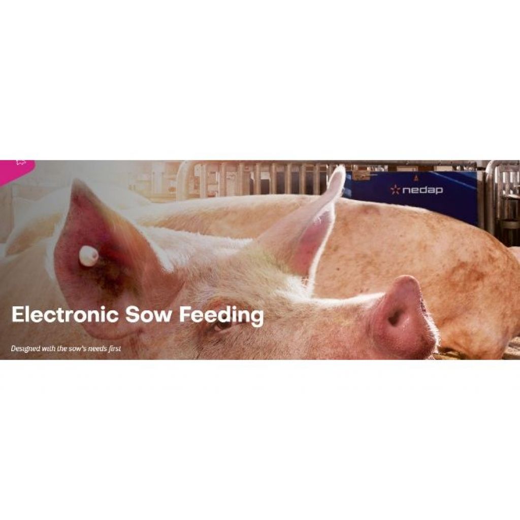 Nedap Electronic Sow Feeding (ESF)