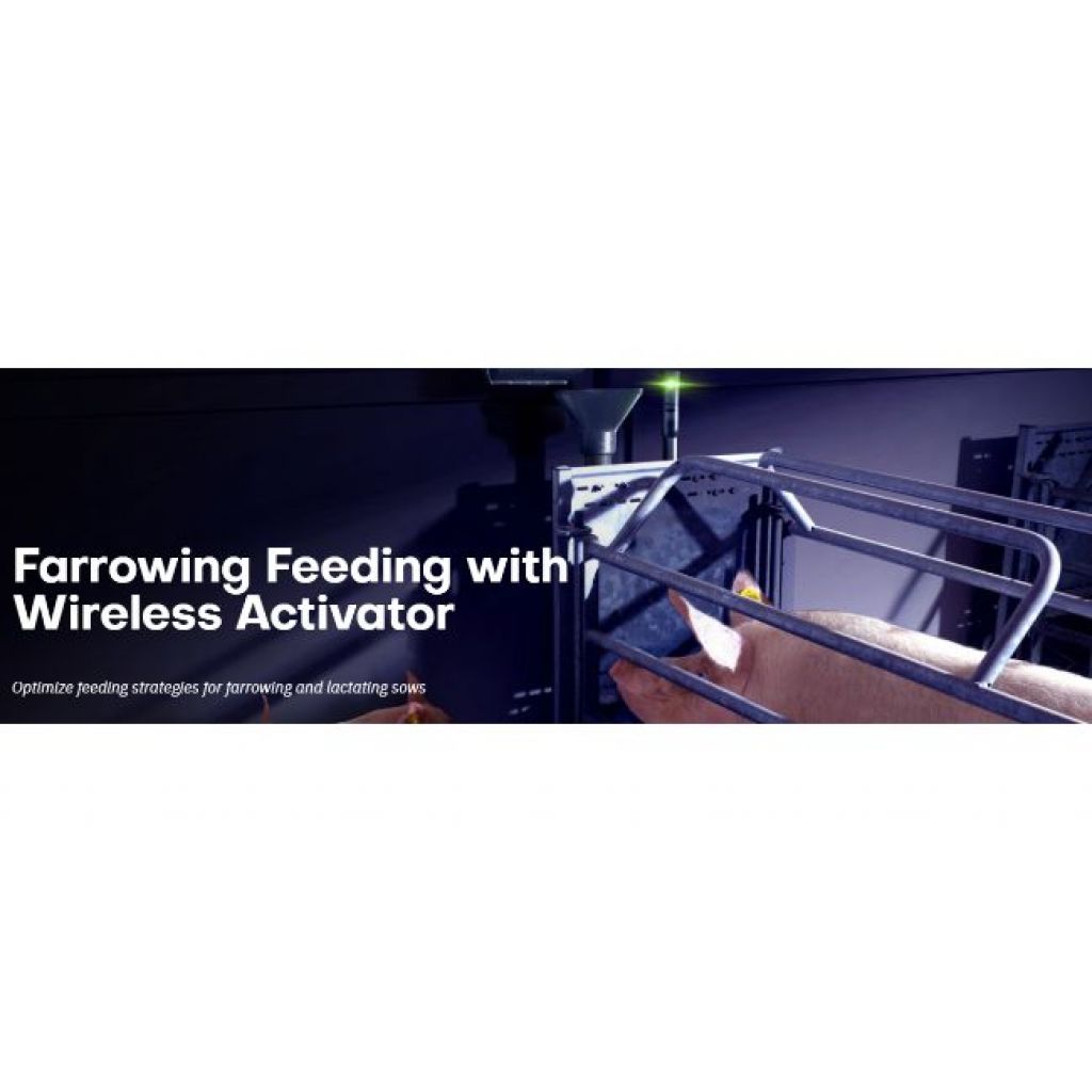 Farrowing Feeding with Wireless Activator