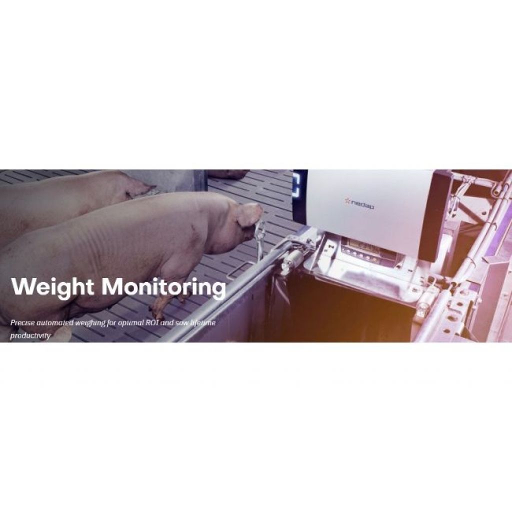 Weight Monitoring