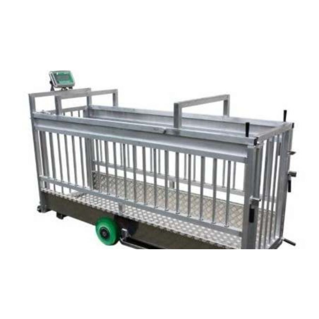 Bilancia mobile per scrofe con lati aperti