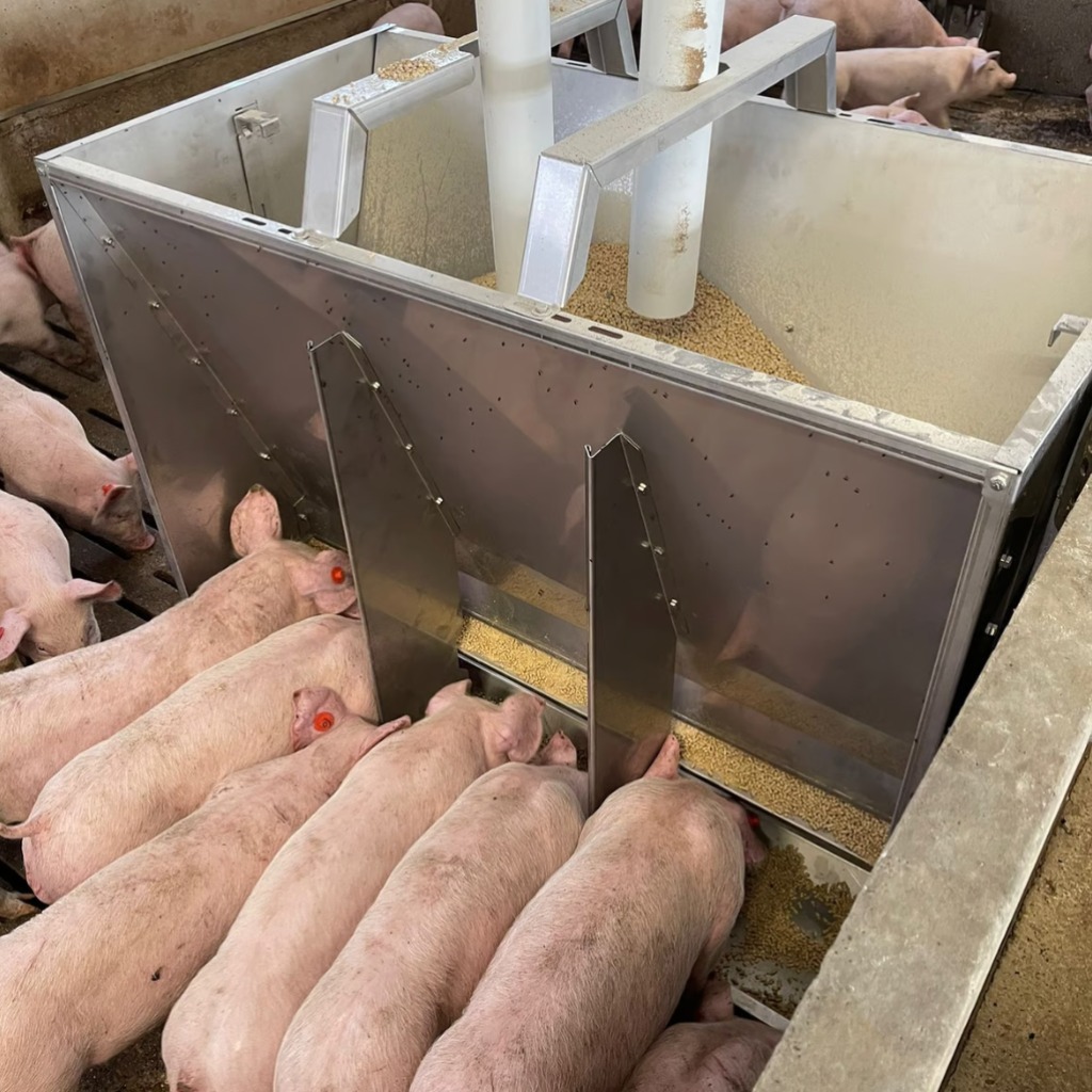 Trémie en acier inoxydable Exafan Poseidon